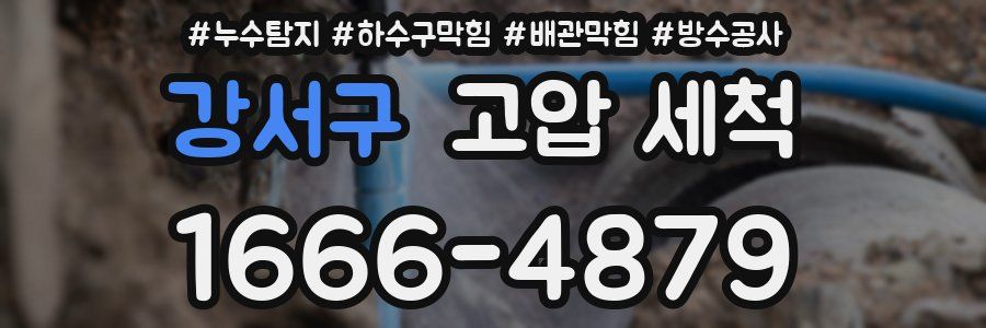 강서구 고압 세척