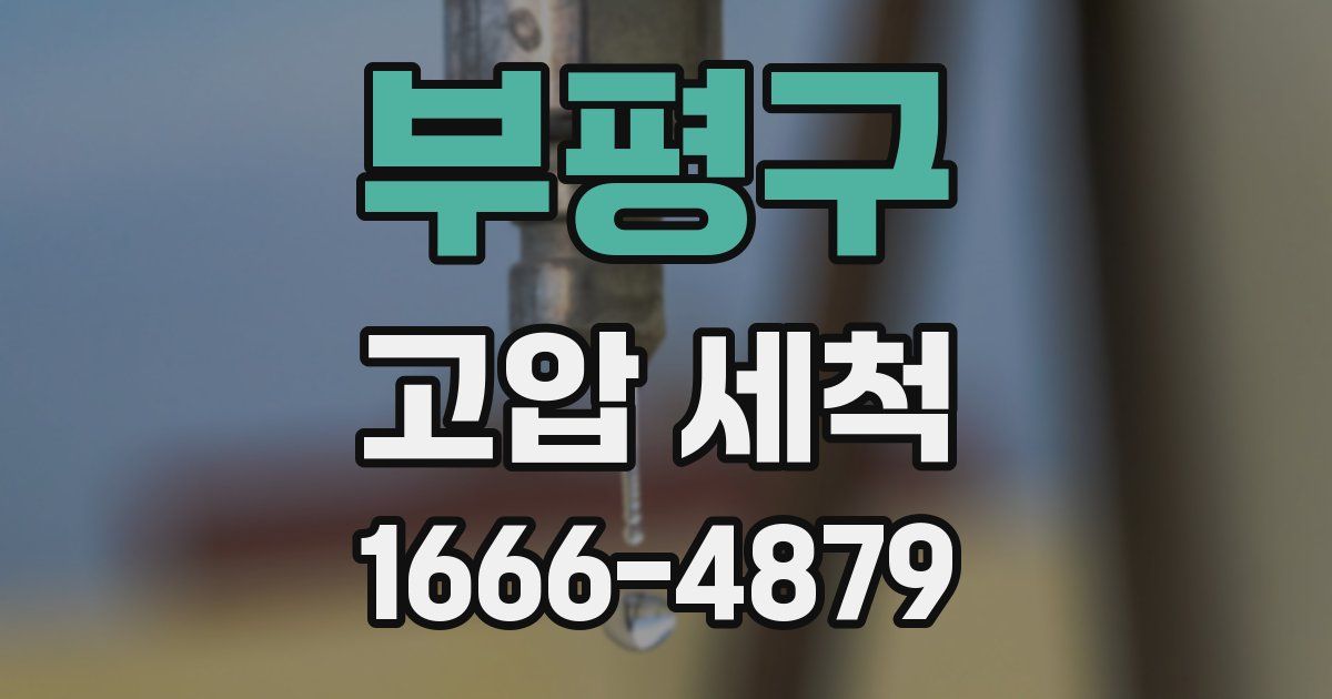 부평구 고압 세척