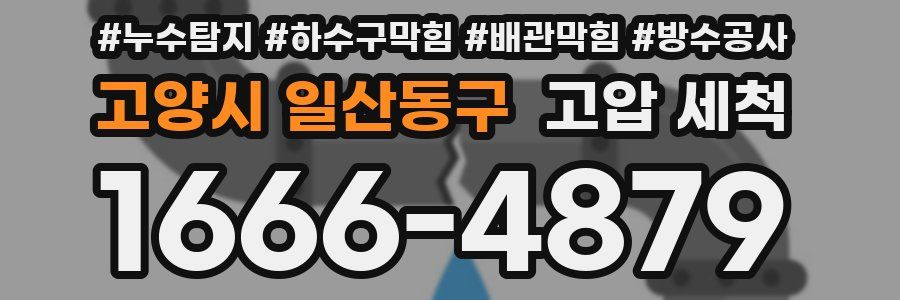 고양시 일산동구 고압 세척