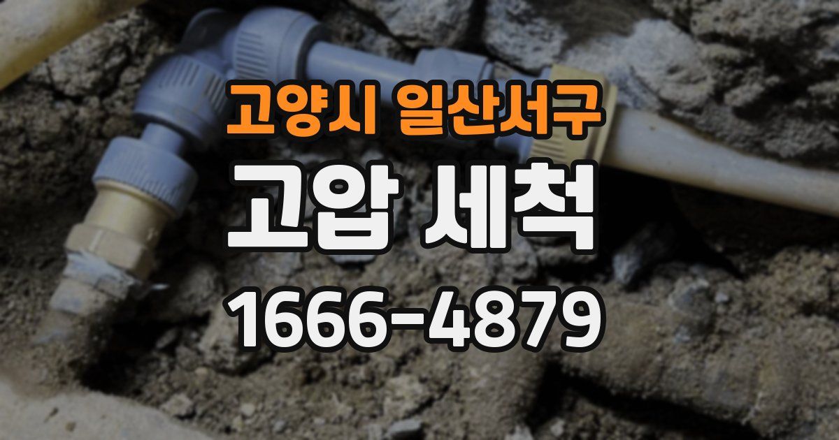 고양시 일산서구 고압 세척