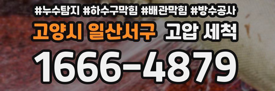 고양시 일산서구 고압 세척