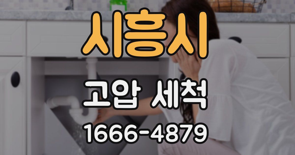 시흥시 고압 세척