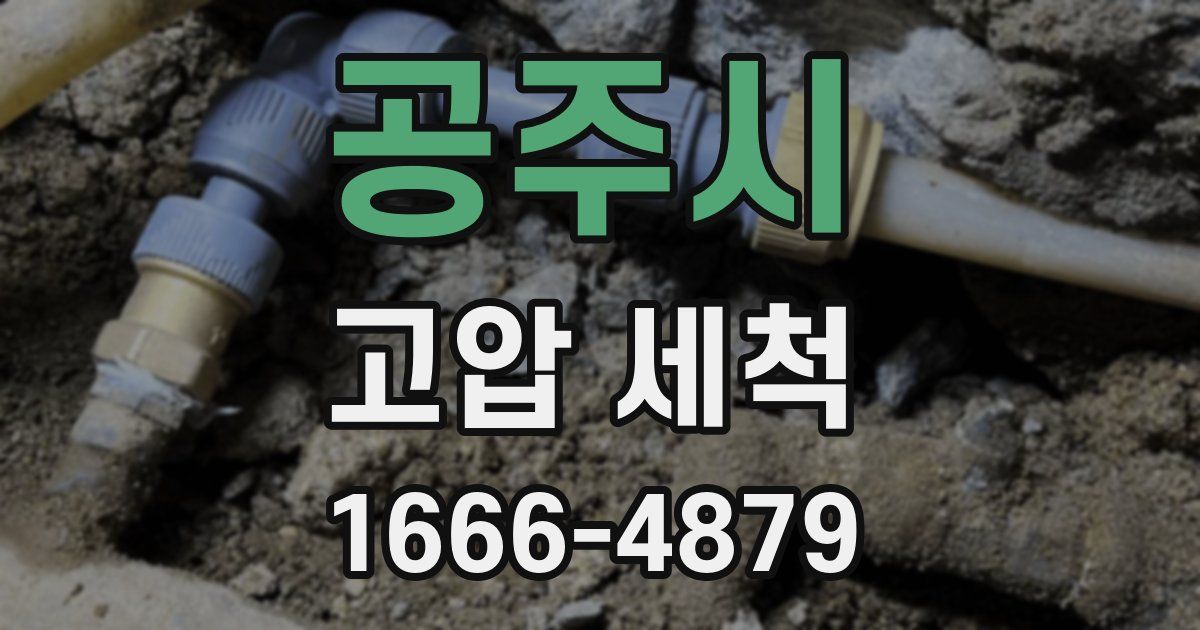 공주시 고압 세척