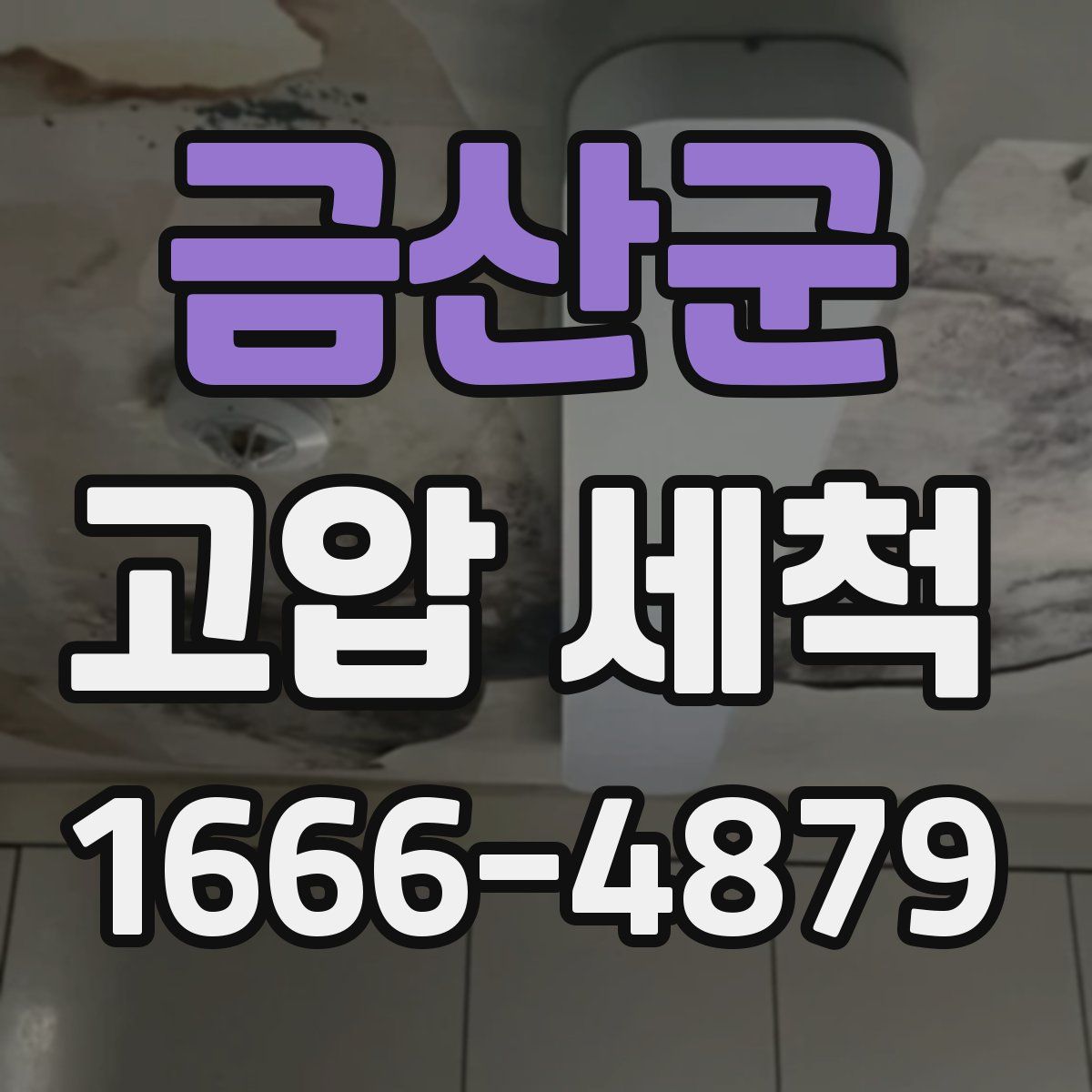 금산군 고압 세척