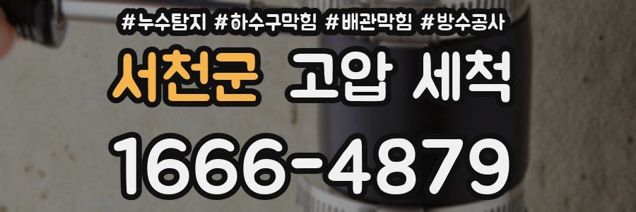 서천군 고압 세척