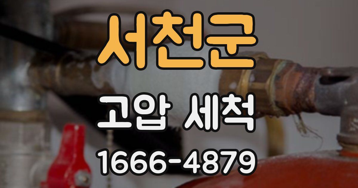 서천군 고압 세척