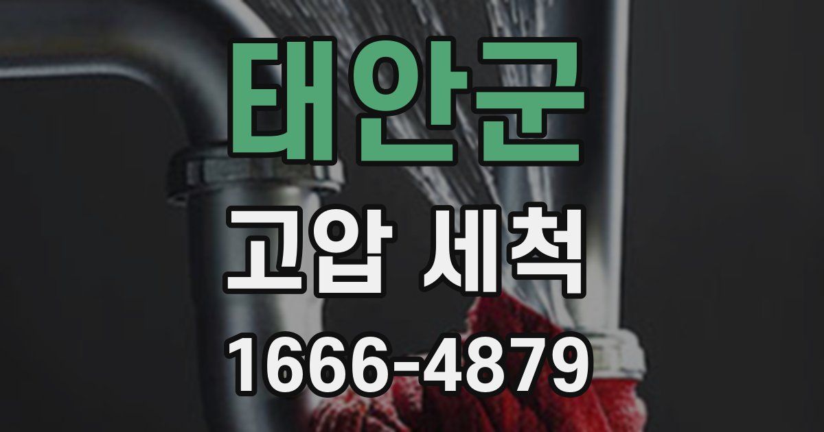 태안군 고압 세척