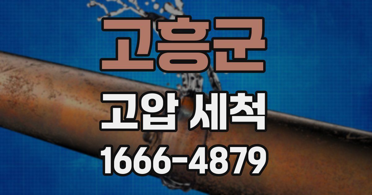 고흥군 고압 세척