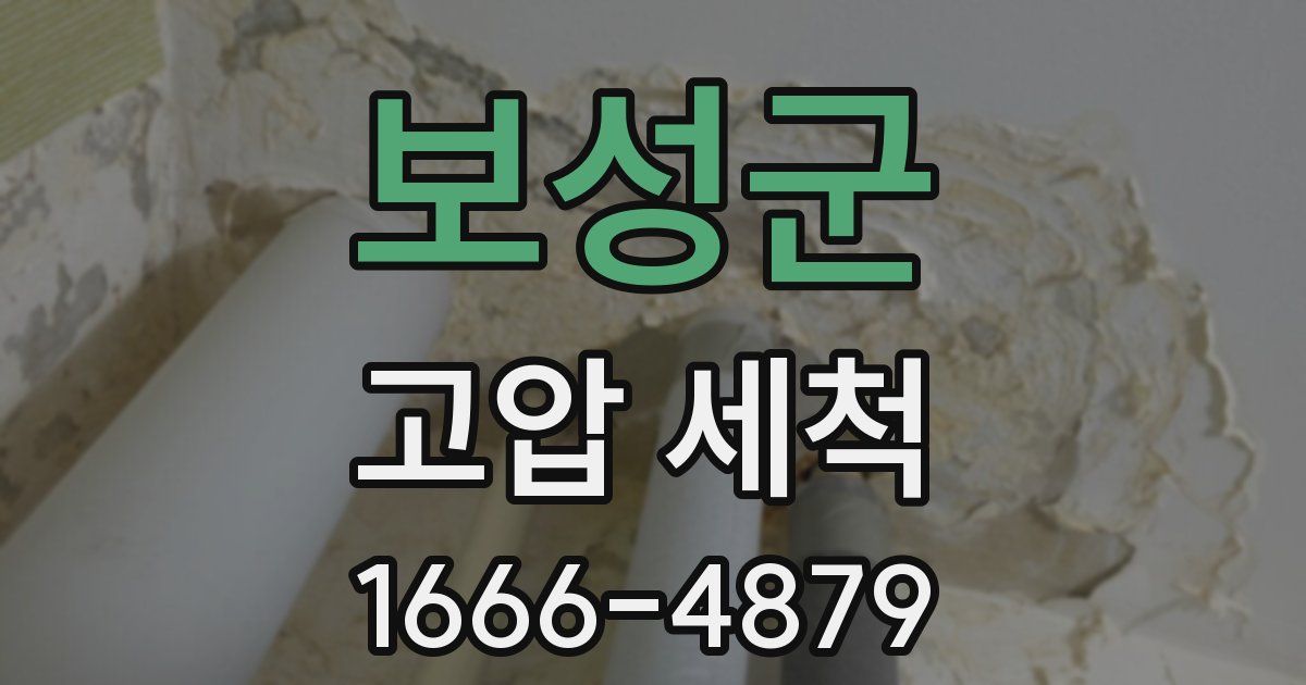 보성군 고압 세척