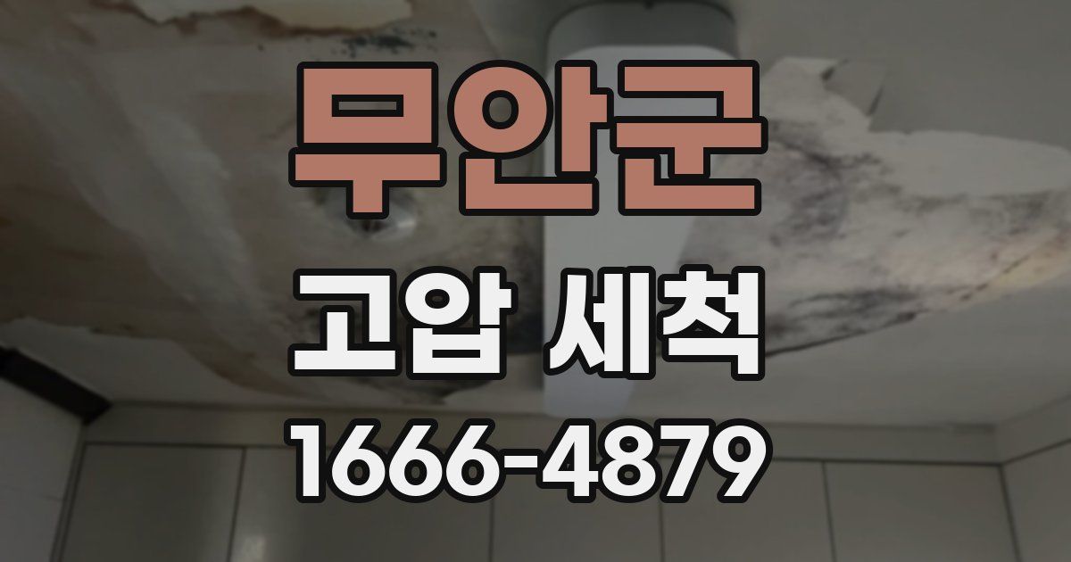 무안군 고압 세척