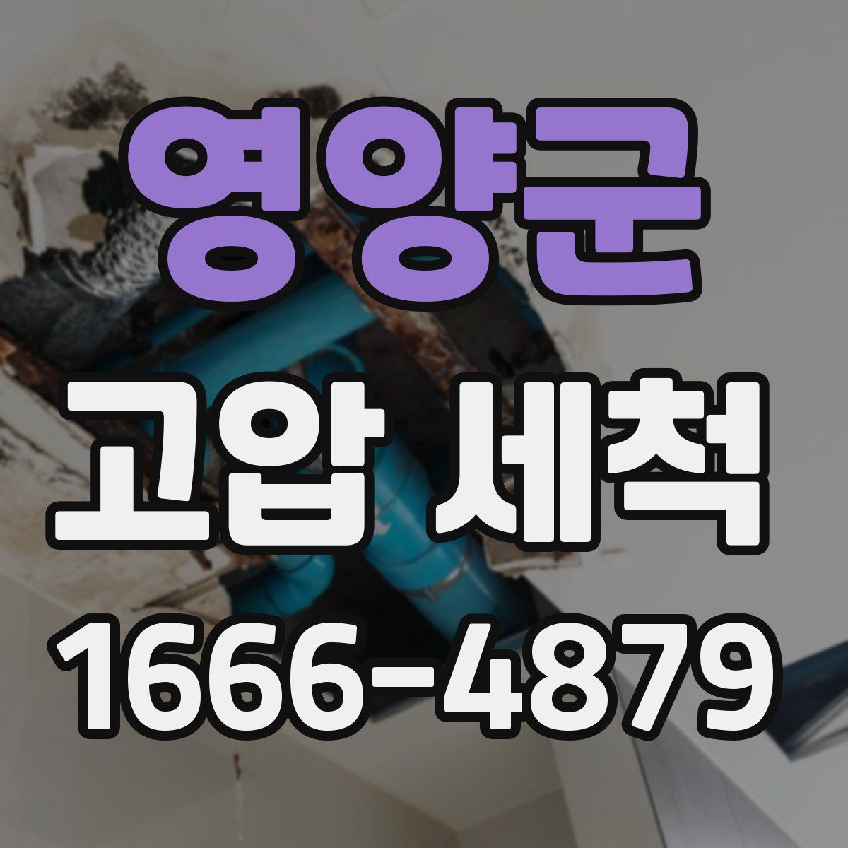 영양군 고압 세척