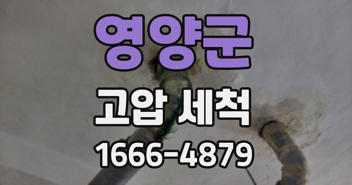 영양군 고압 세척