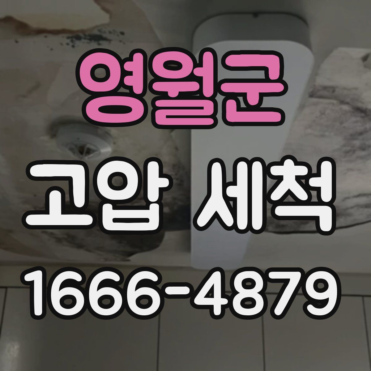 영월군 고압 세척