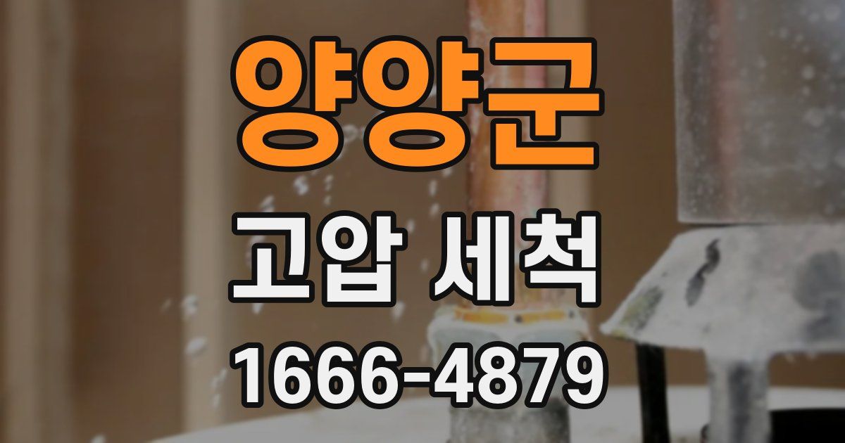 양양군 고압 세척