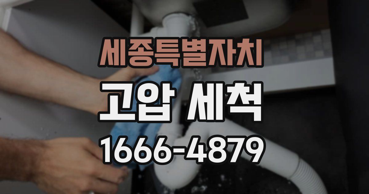 세종특별자치 고압 세척