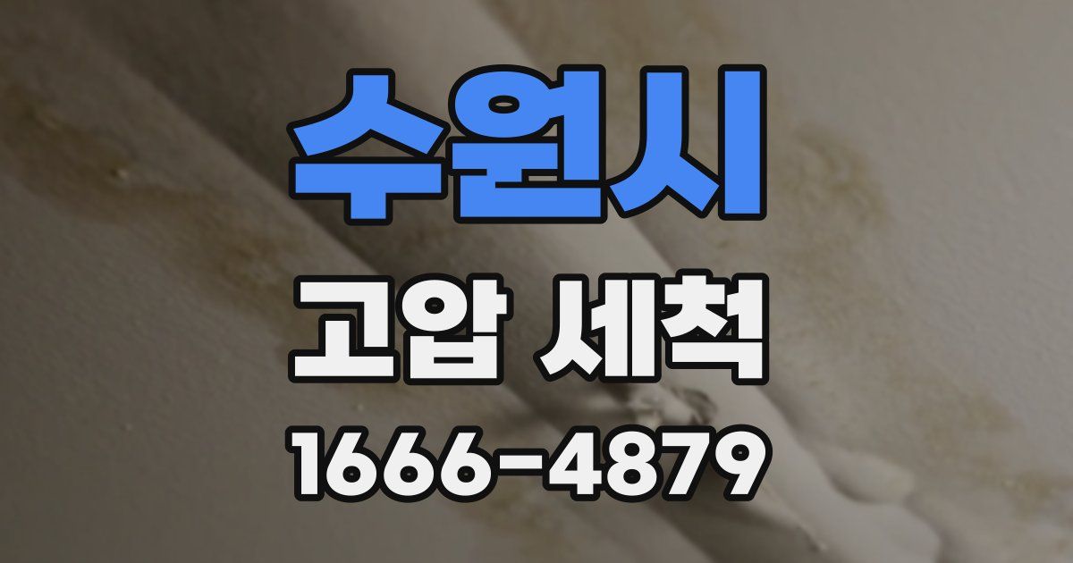 수원시 고압 세척