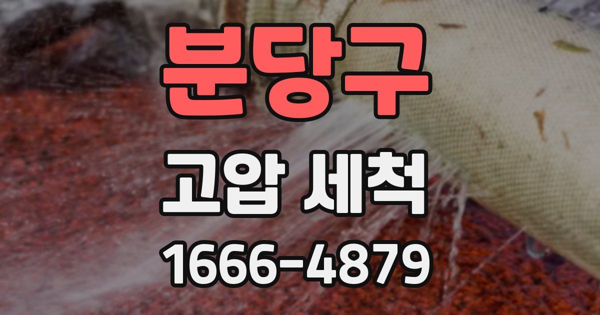 분당구 고압 세척