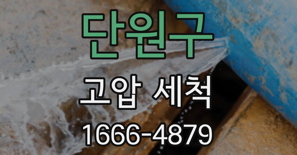 단원구 고압 세척
