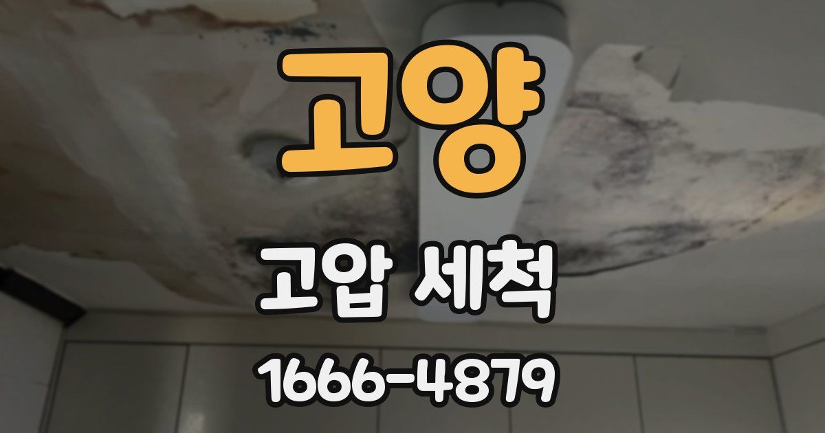 고양 고압 세척