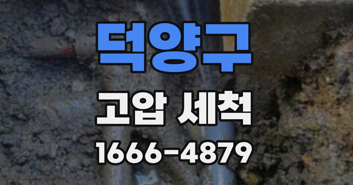 덕양구 고압 세척
