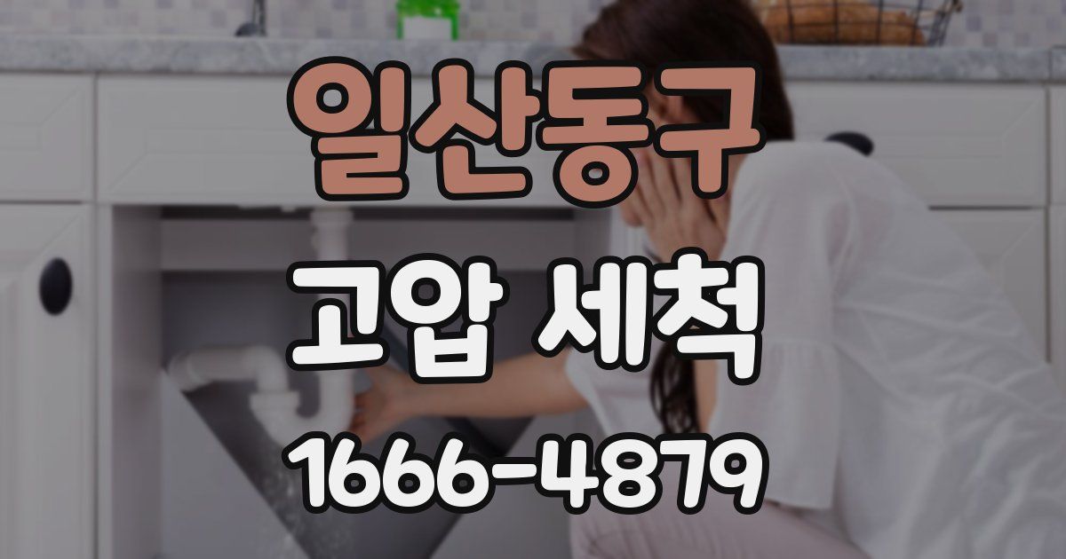 일산동구 고압 세척