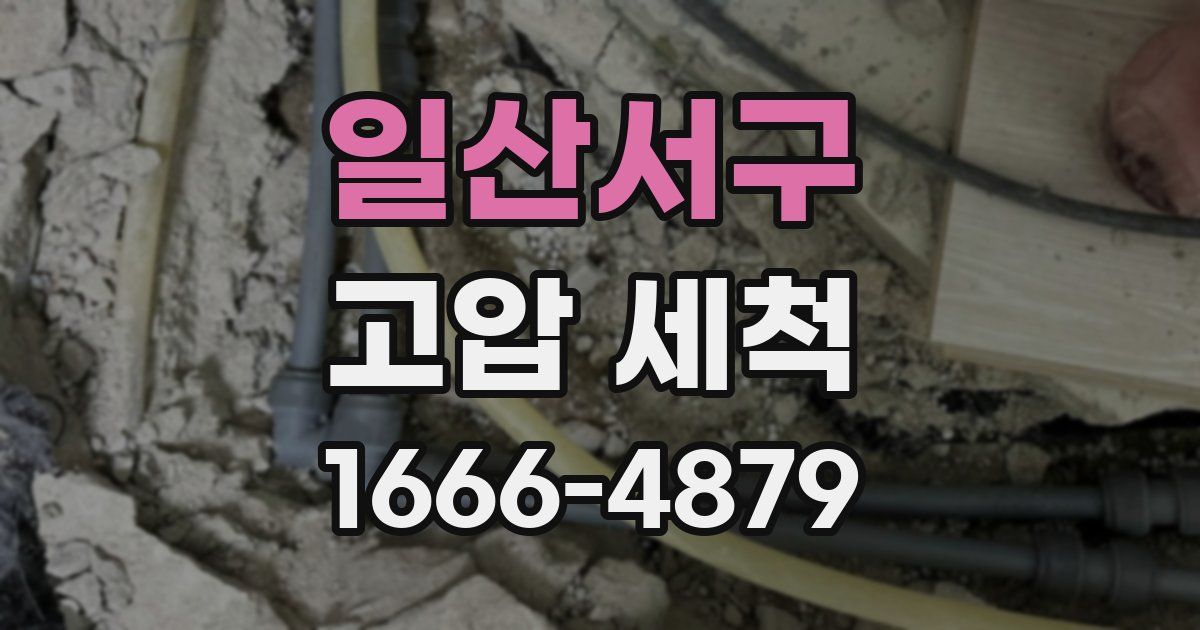 일산서구 고압 세척