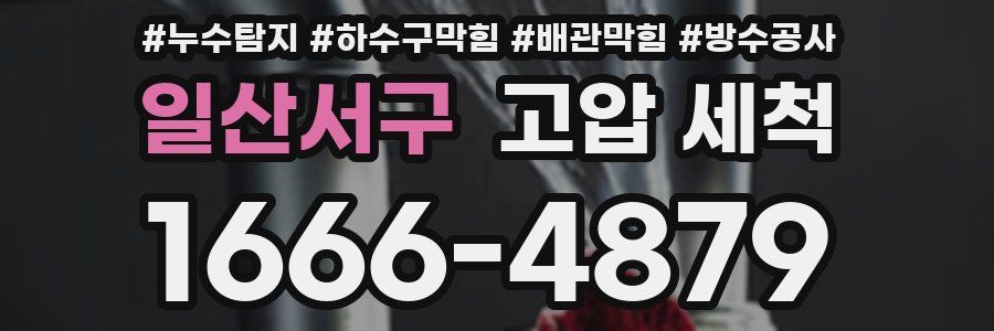일산서구 고압 세척