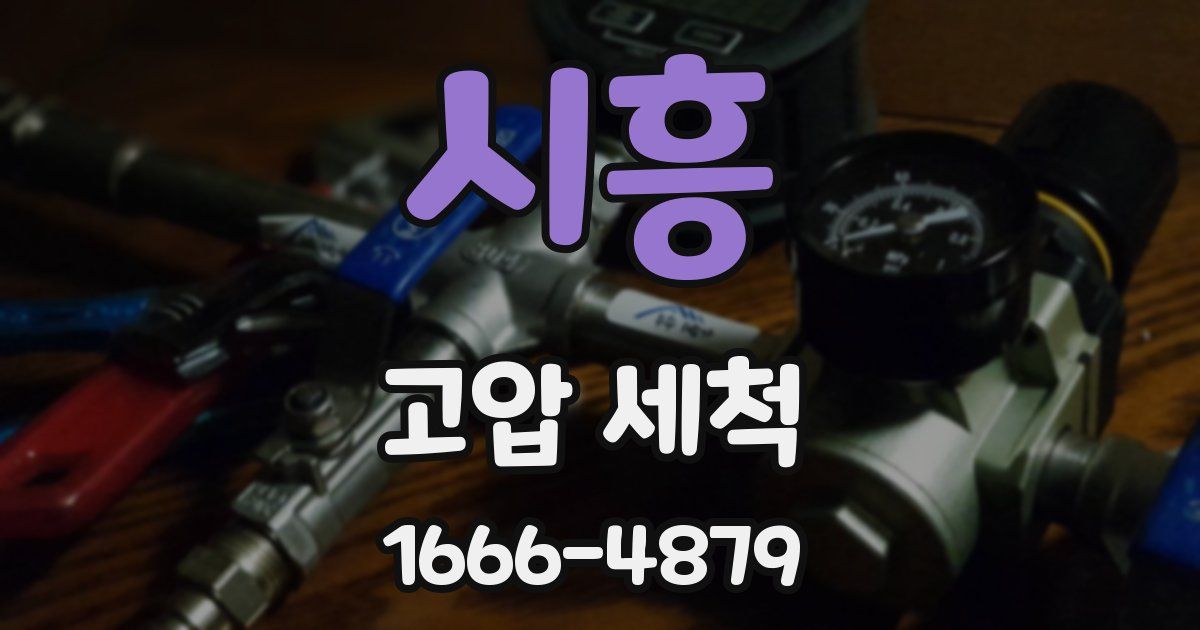 시흥 고압 세척