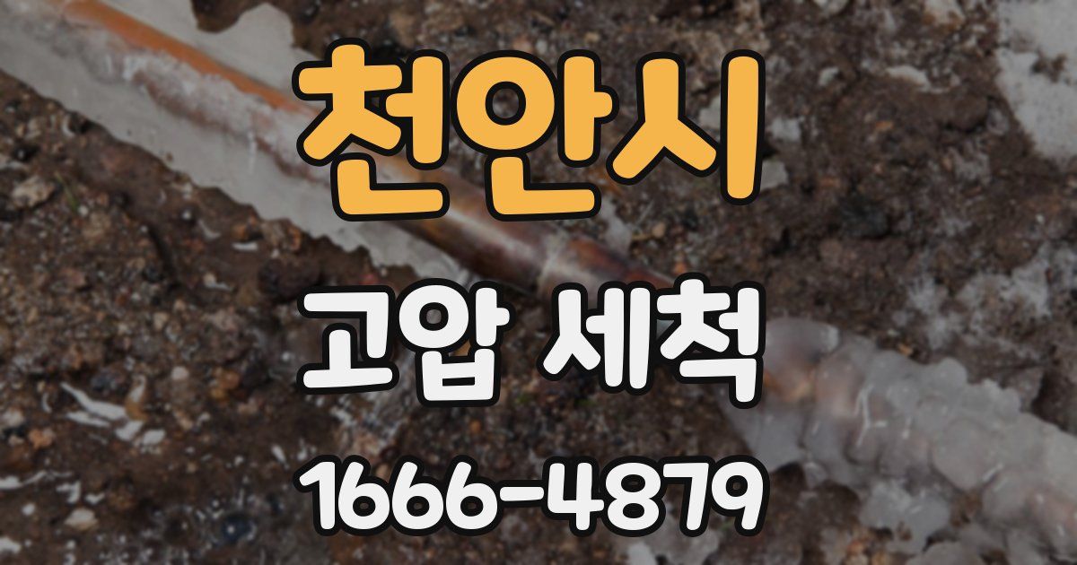 천안시 고압 세척