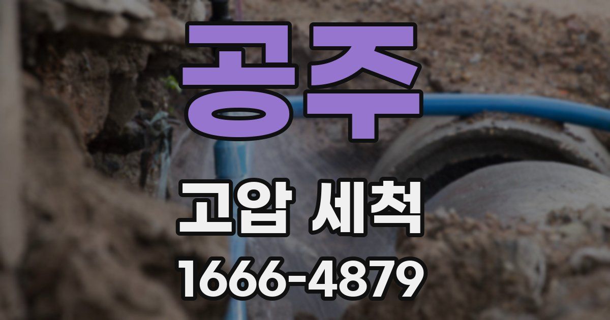 공주 고압 세척
