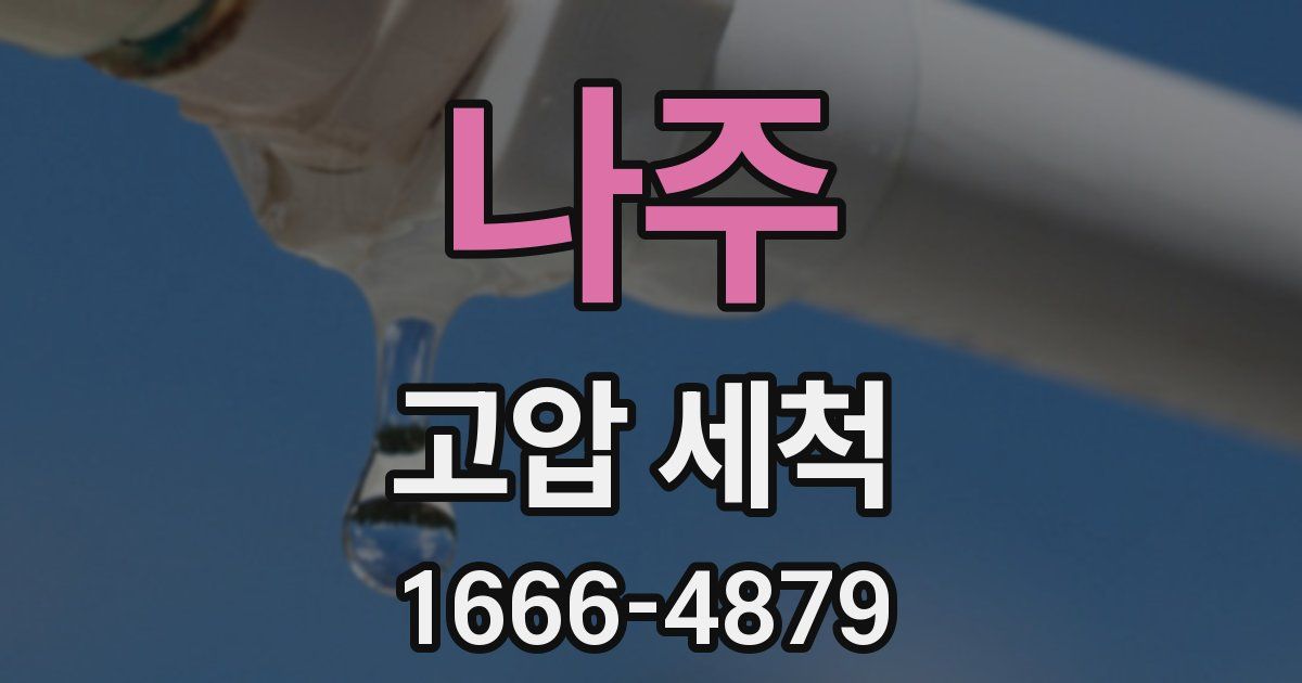 나주 고압 세척