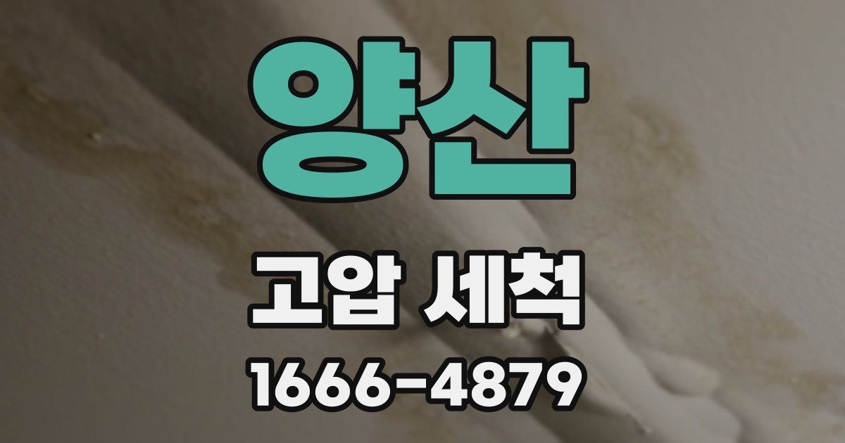 양산 고압 세척