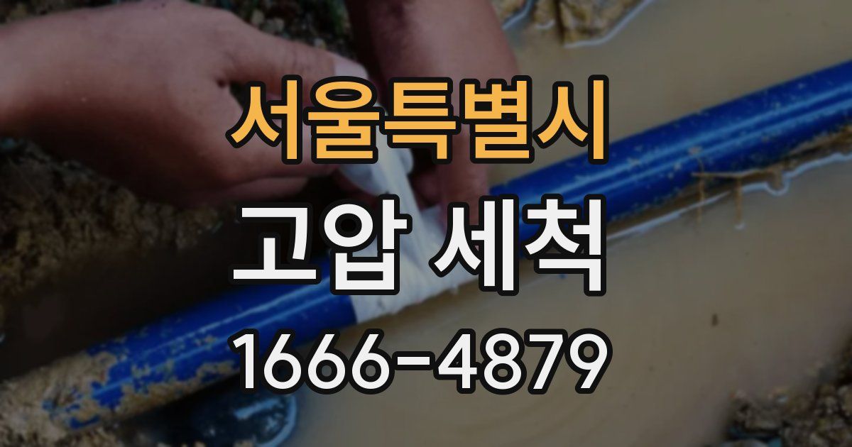 서울특별시 고압 세척
