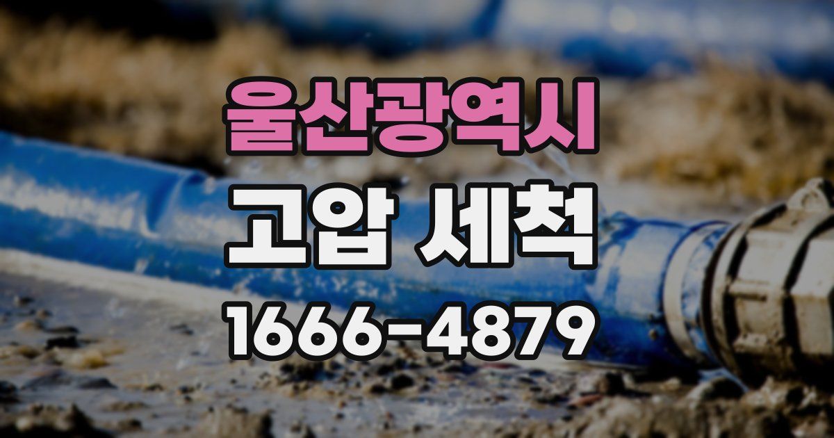 울산광역시 고압 세척