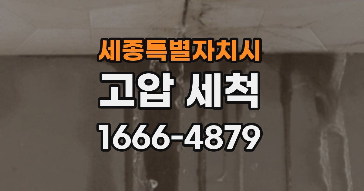 세종특별자치시 고압 세척