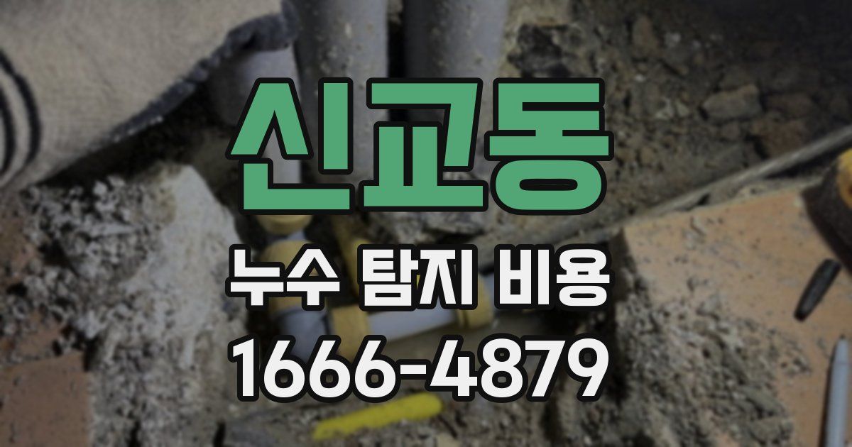 신교동 누수 탐지 비용