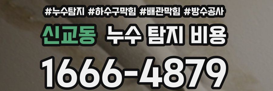 신교동 누수 탐지 비용