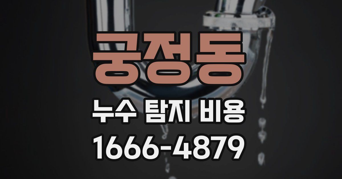 궁정동 누수 탐지 비용