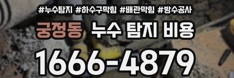 궁정동 누수 탐지 비용