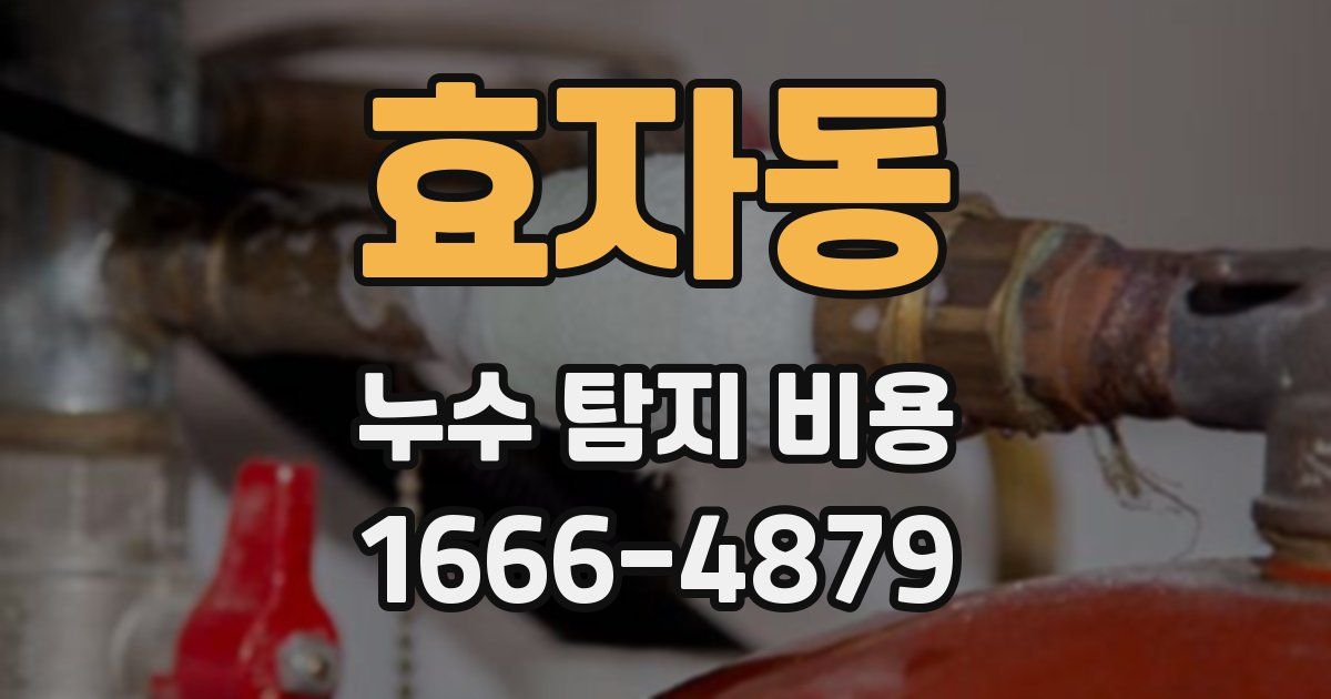 효자동 누수 탐지 비용