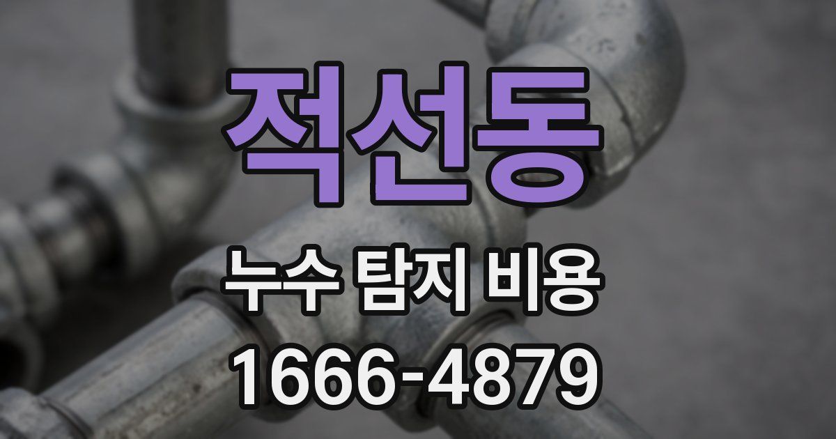 적선동 누수 탐지 비용