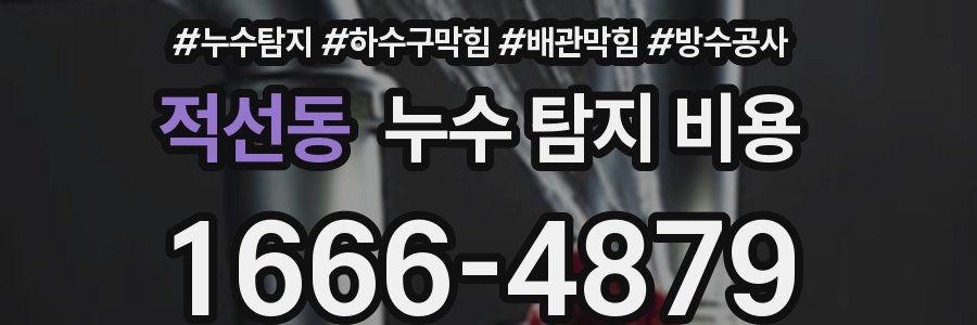 적선동 누수 탐지 비용