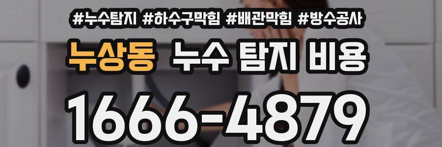 누상동 누수 탐지 비용
