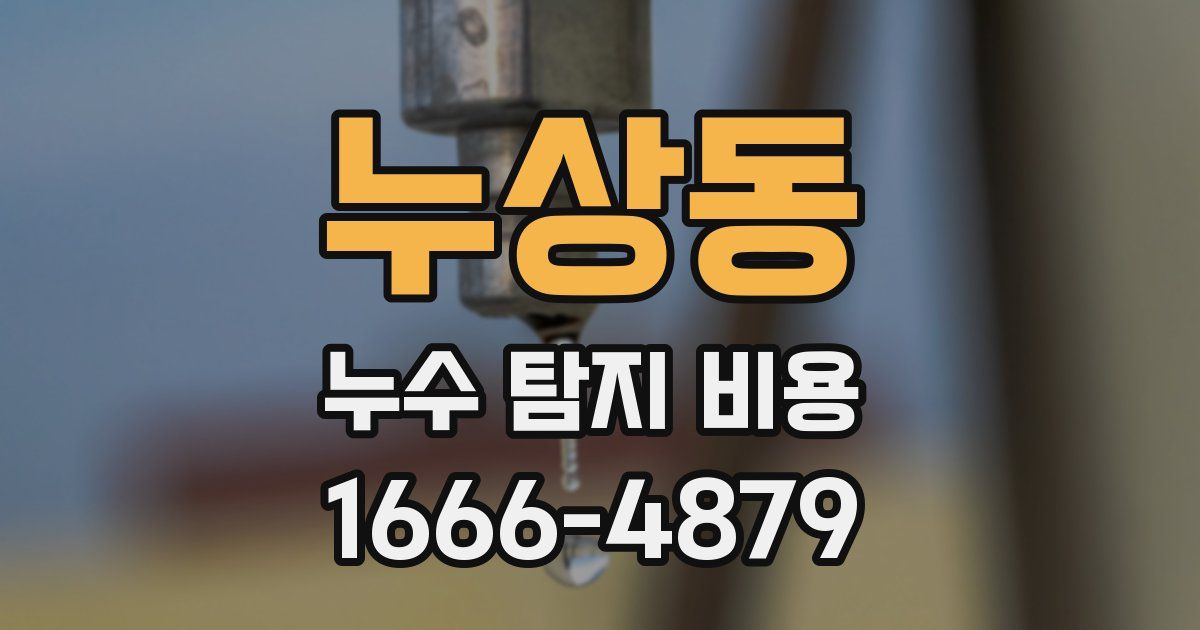 누상동 누수 탐지 비용