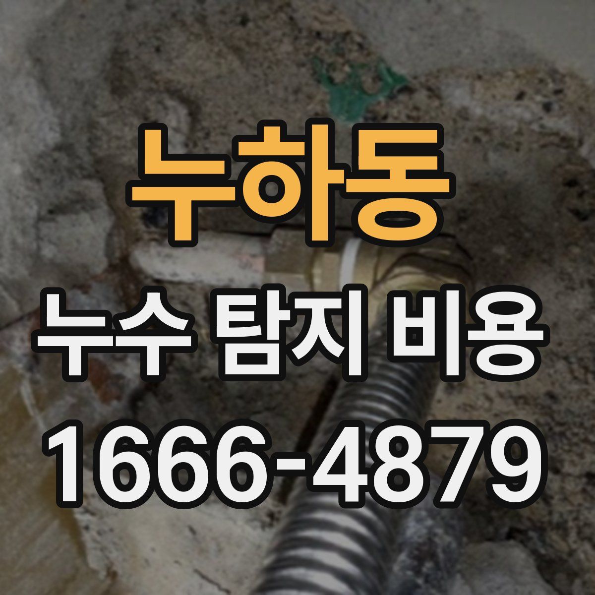 누하동 누수 탐지 비용