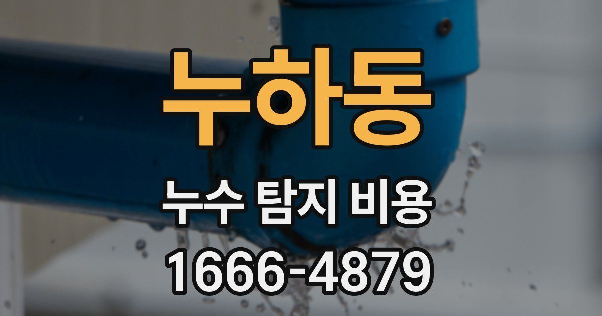 누하동 누수 탐지 비용