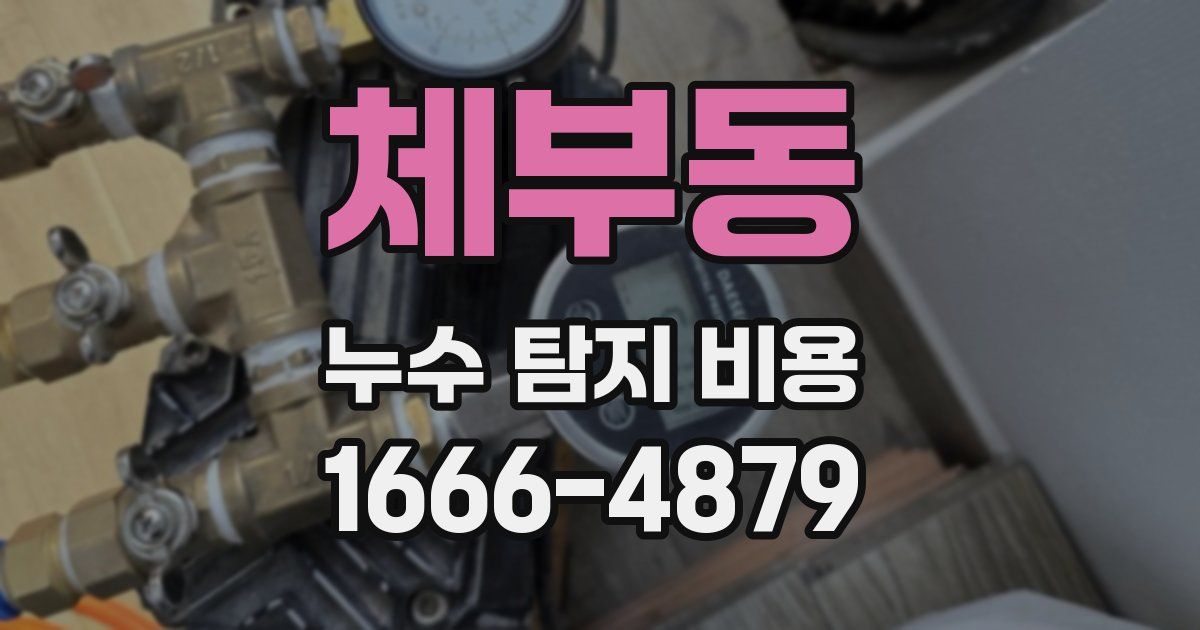 체부동 누수 탐지 비용