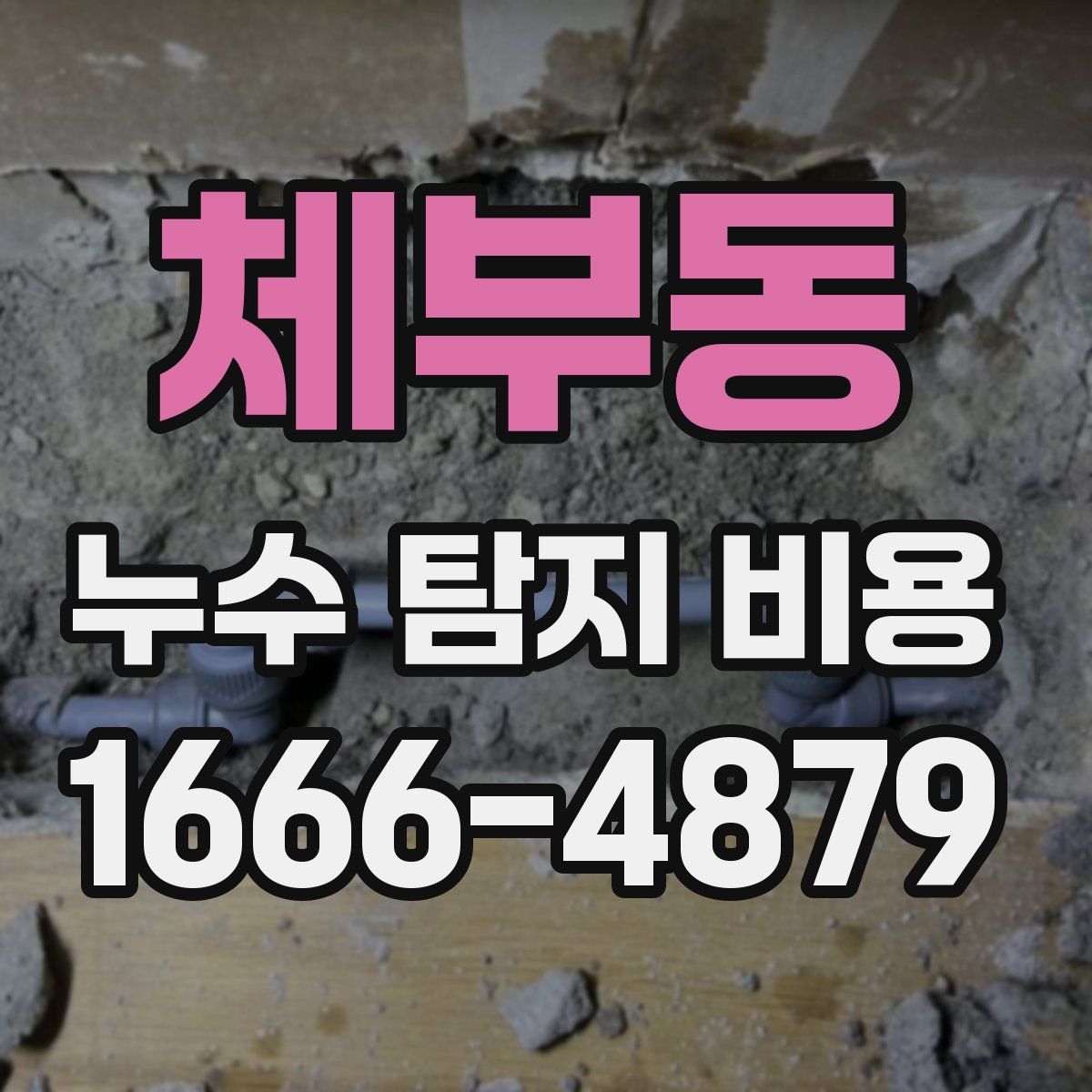 체부동 누수 탐지 비용