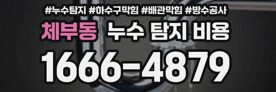 체부동 누수 탐지 비용
