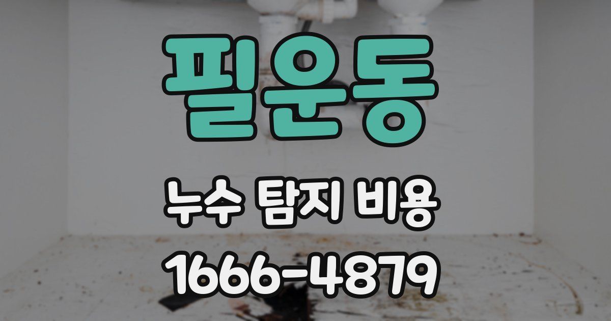 필운동 누수 탐지 비용